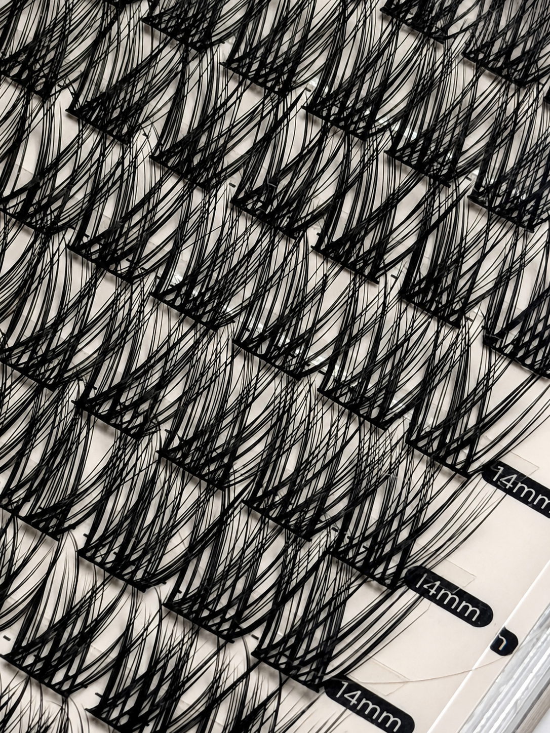 Volume Lashes